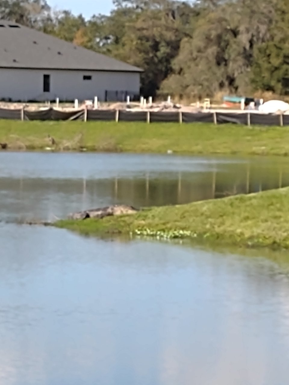 IMG_20220108_142751034.jpg