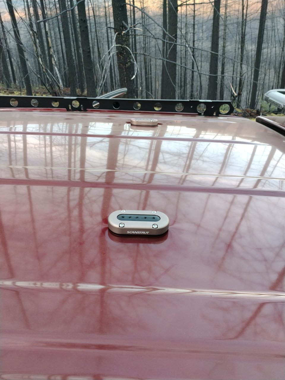 IMG_20220128_164648.jpg