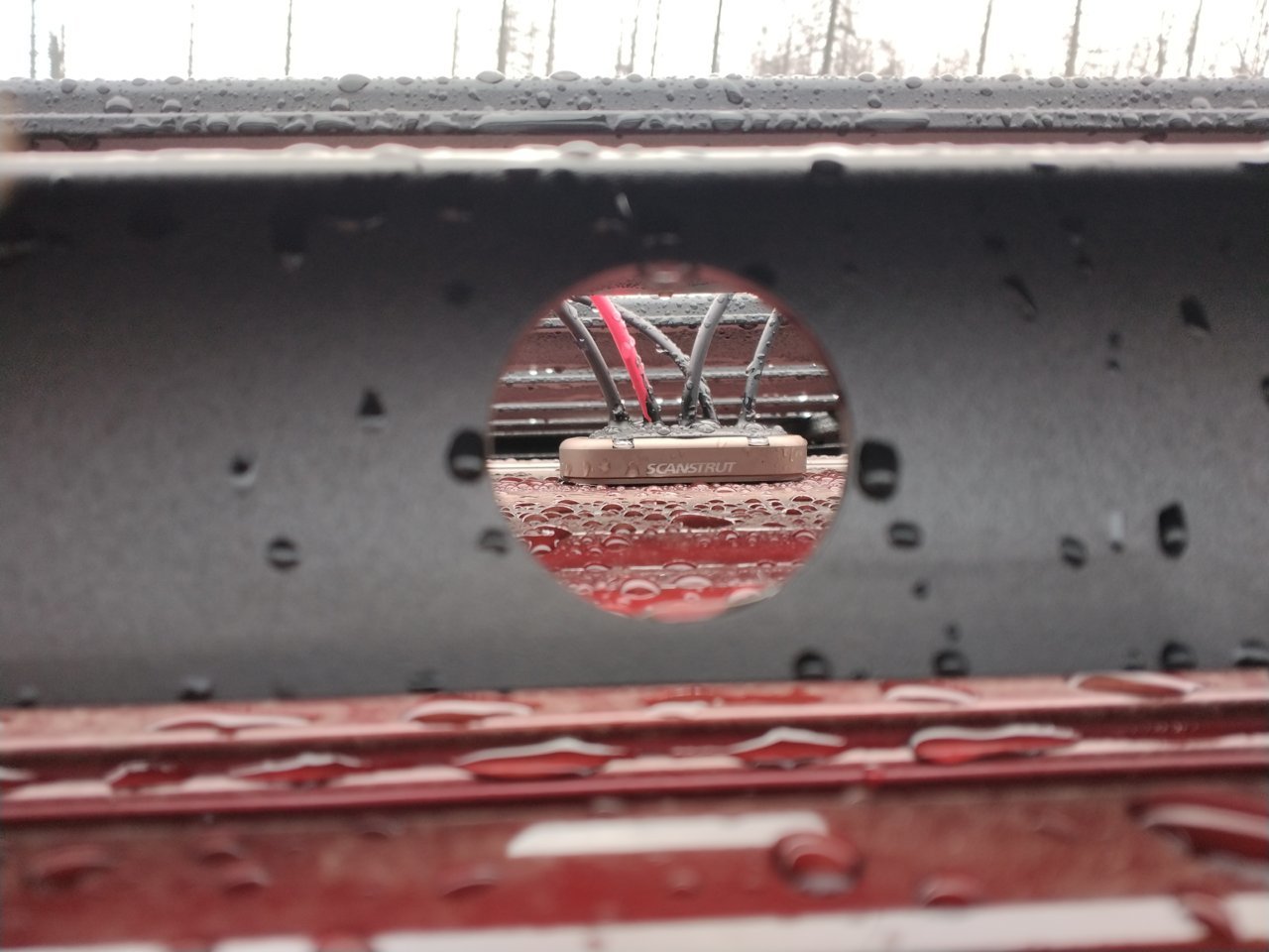 IMG_20220131_092026.jpg