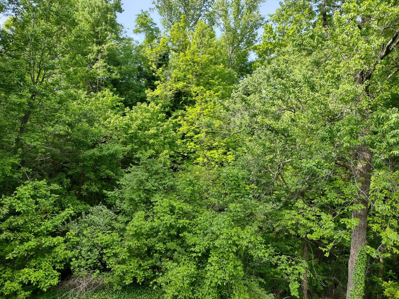 IMG_20220430_102116009_HDR.jpg