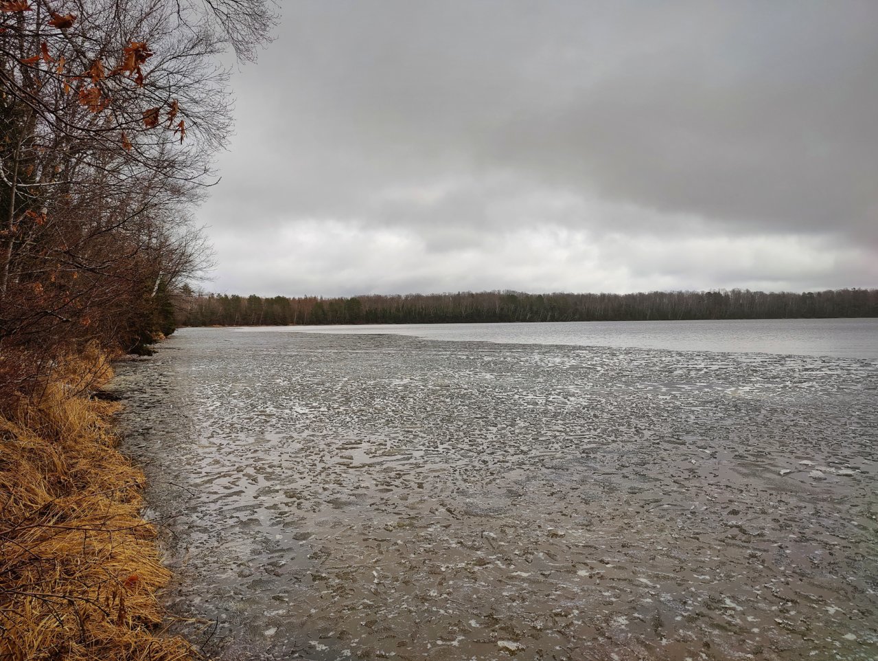IMG_20220502_141256.jpg