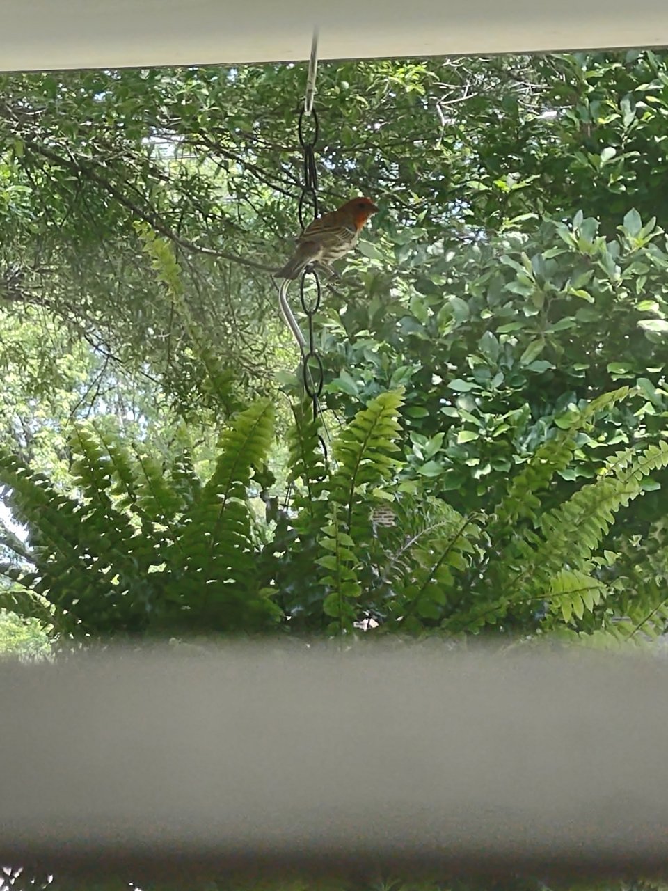 IMG_20220510_132518468.jpg