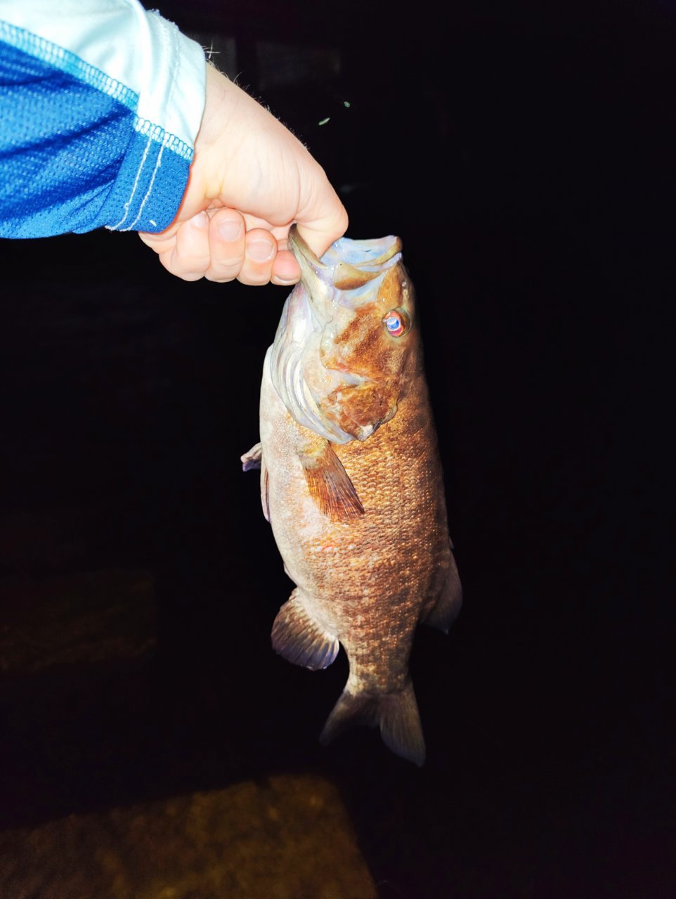 IMG_20220703_214116.jpg
