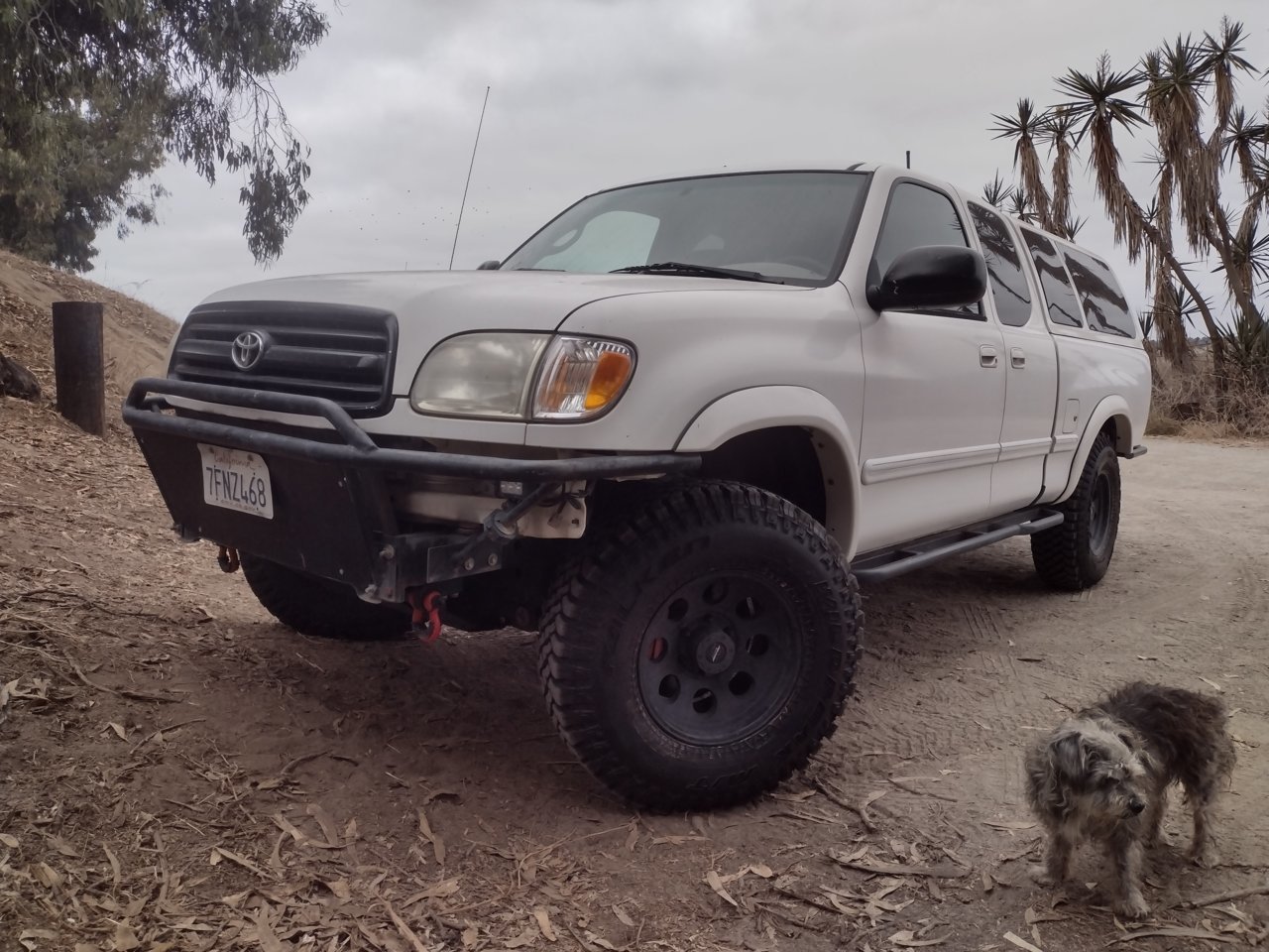 IMG_20221001_085508569_HDR.jpg