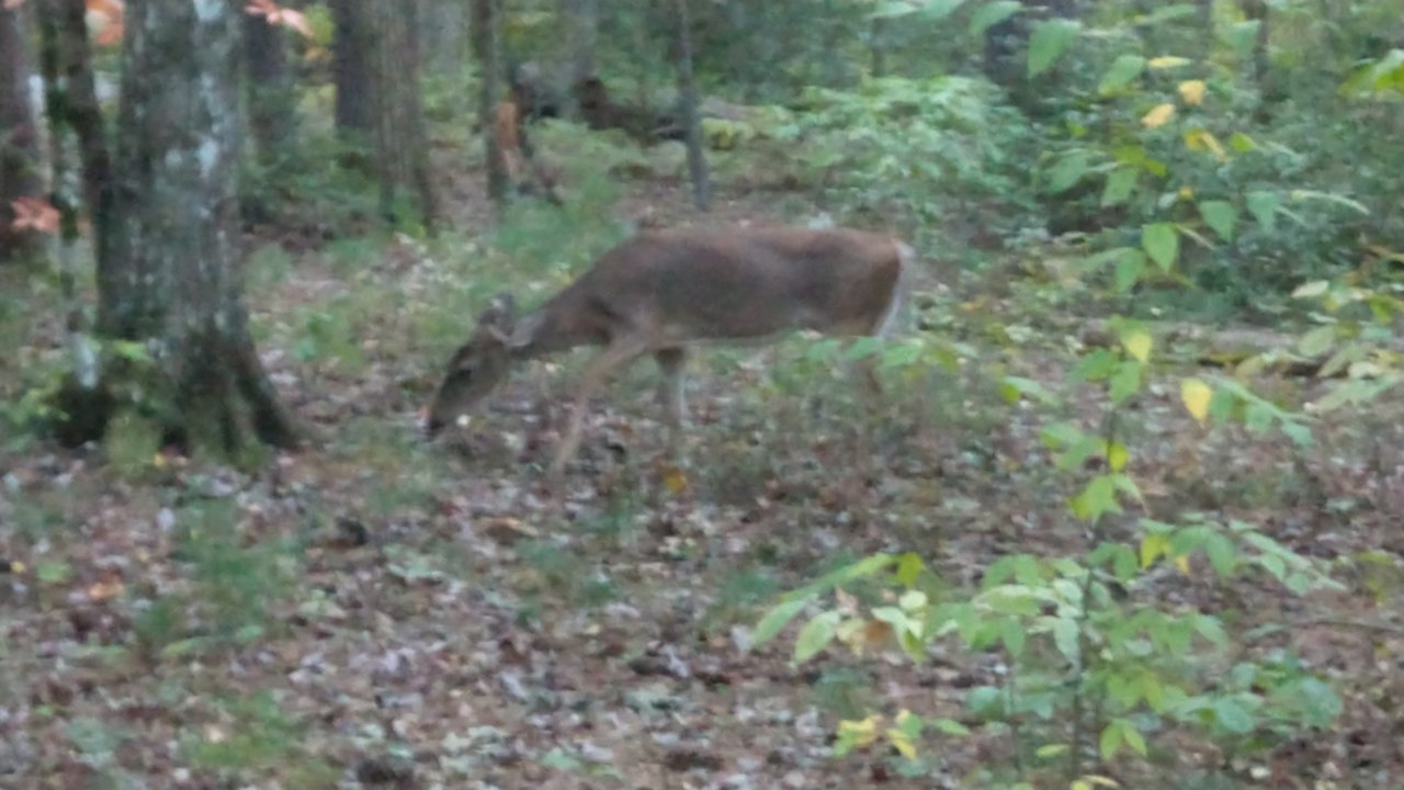 IMG_20221005_183537997.jpg