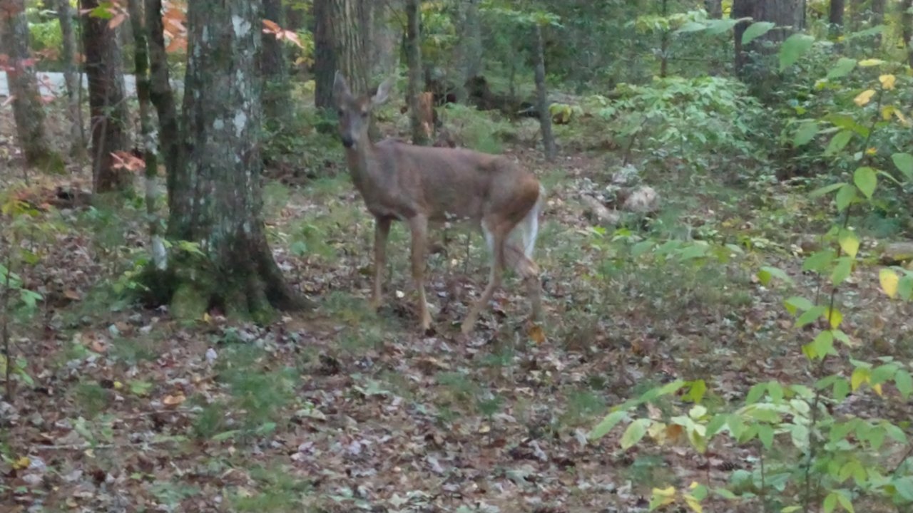 IMG_20221005_183545103.jpg