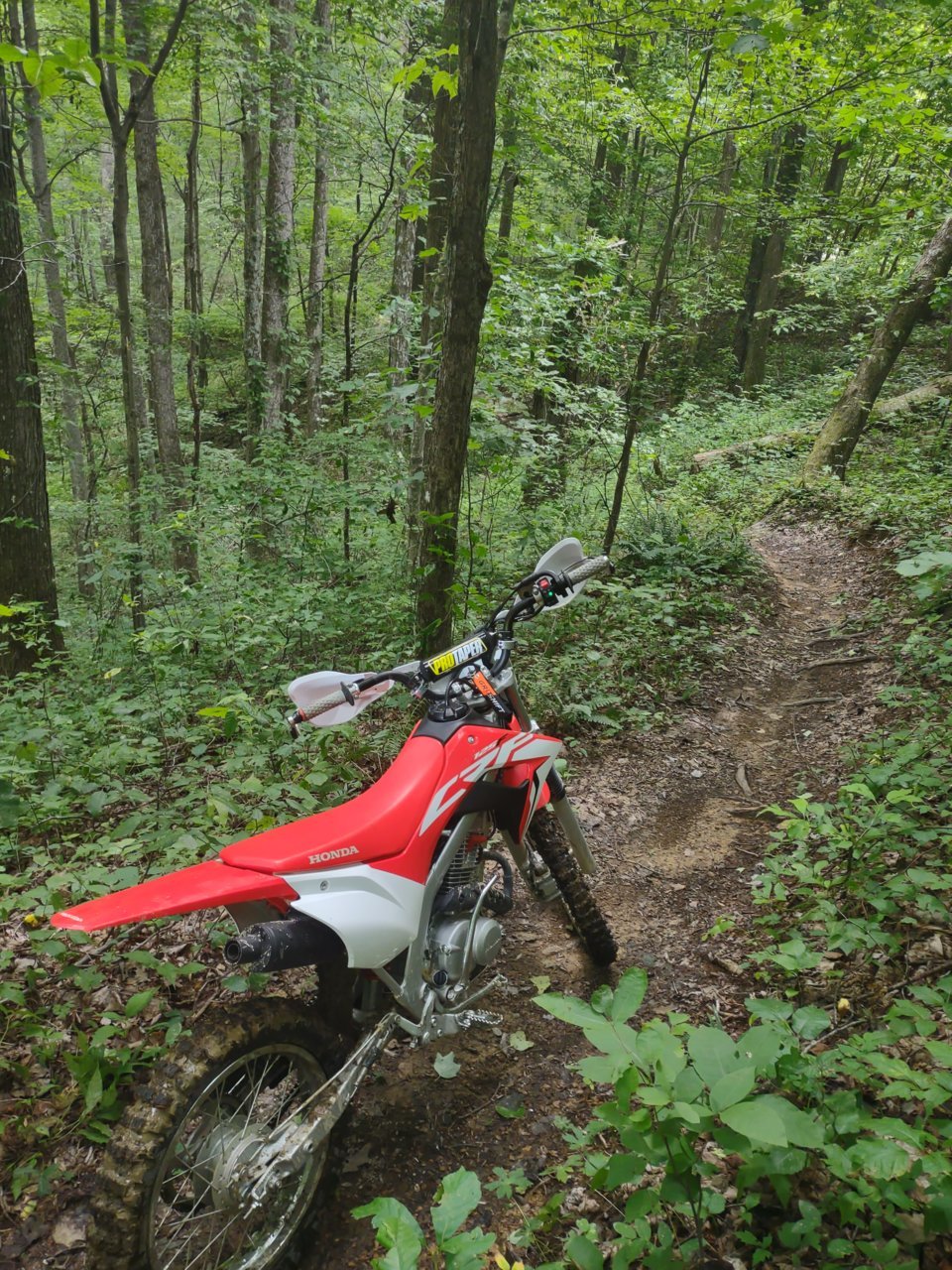 IMG_20230625_104611416.jpg