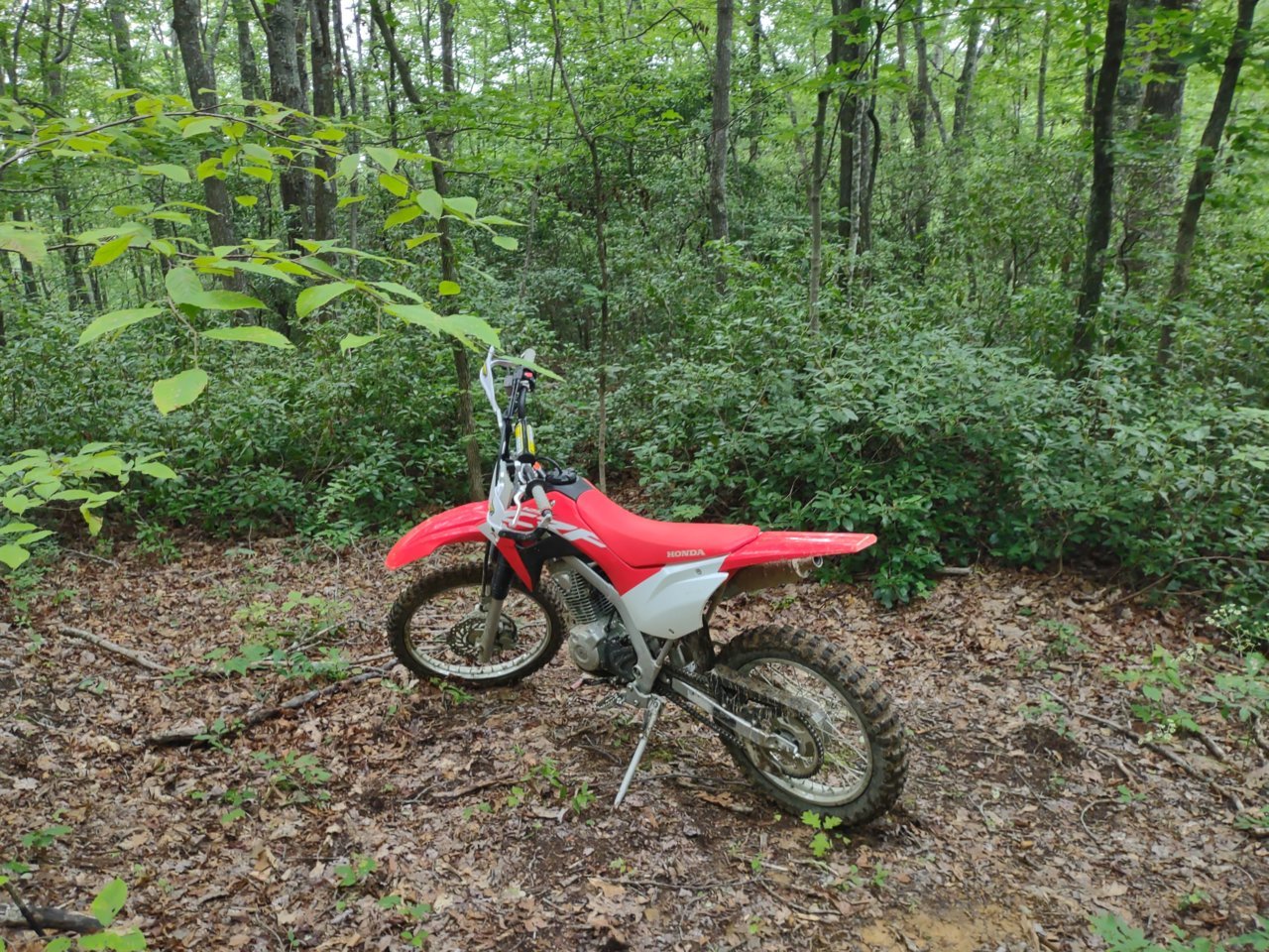 IMG_20230625_113749586.jpg