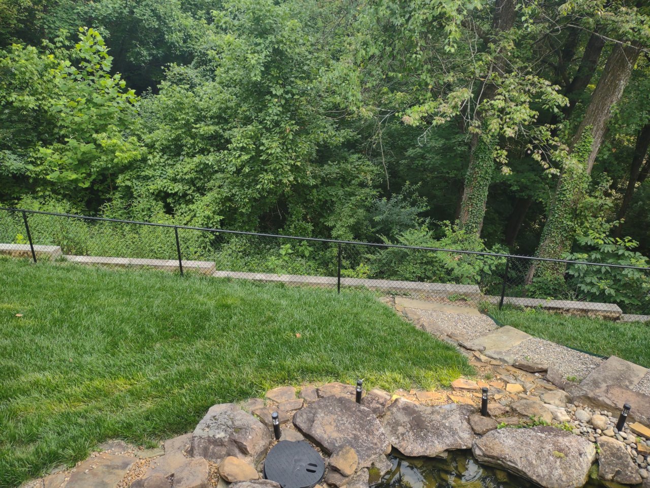IMG_20230628_190142507.jpg