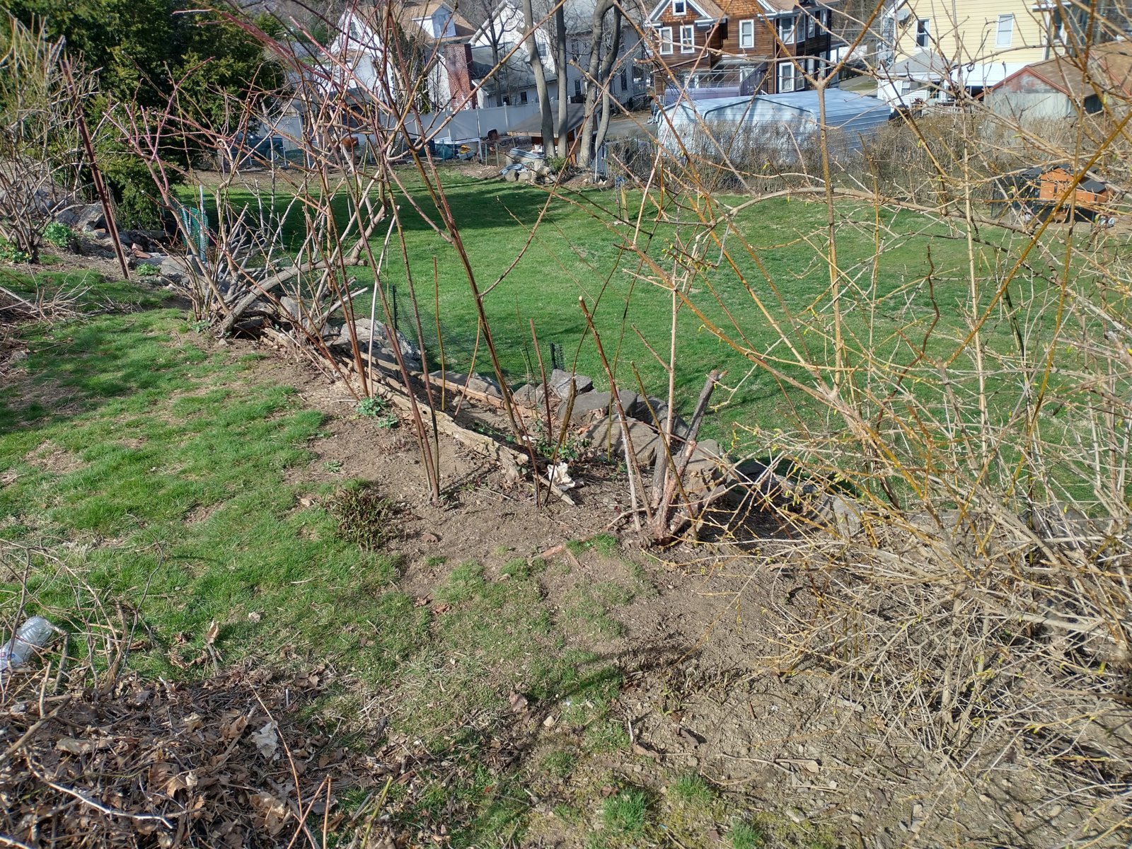 IMG_20240316_154442813_HDR.jpg