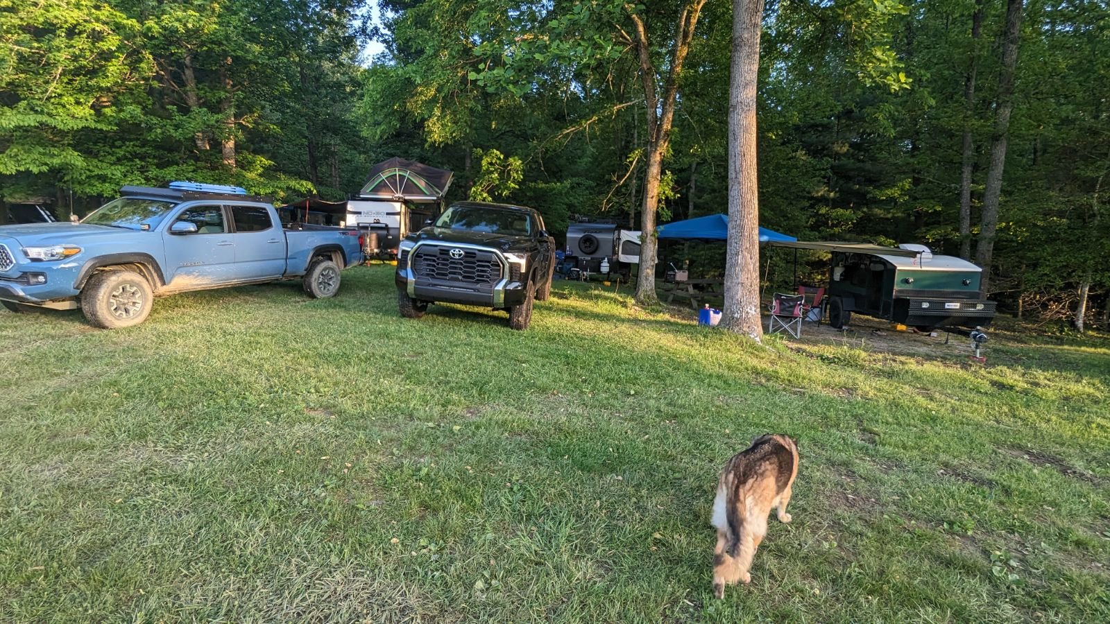 IMG_20240509_195555.jpg