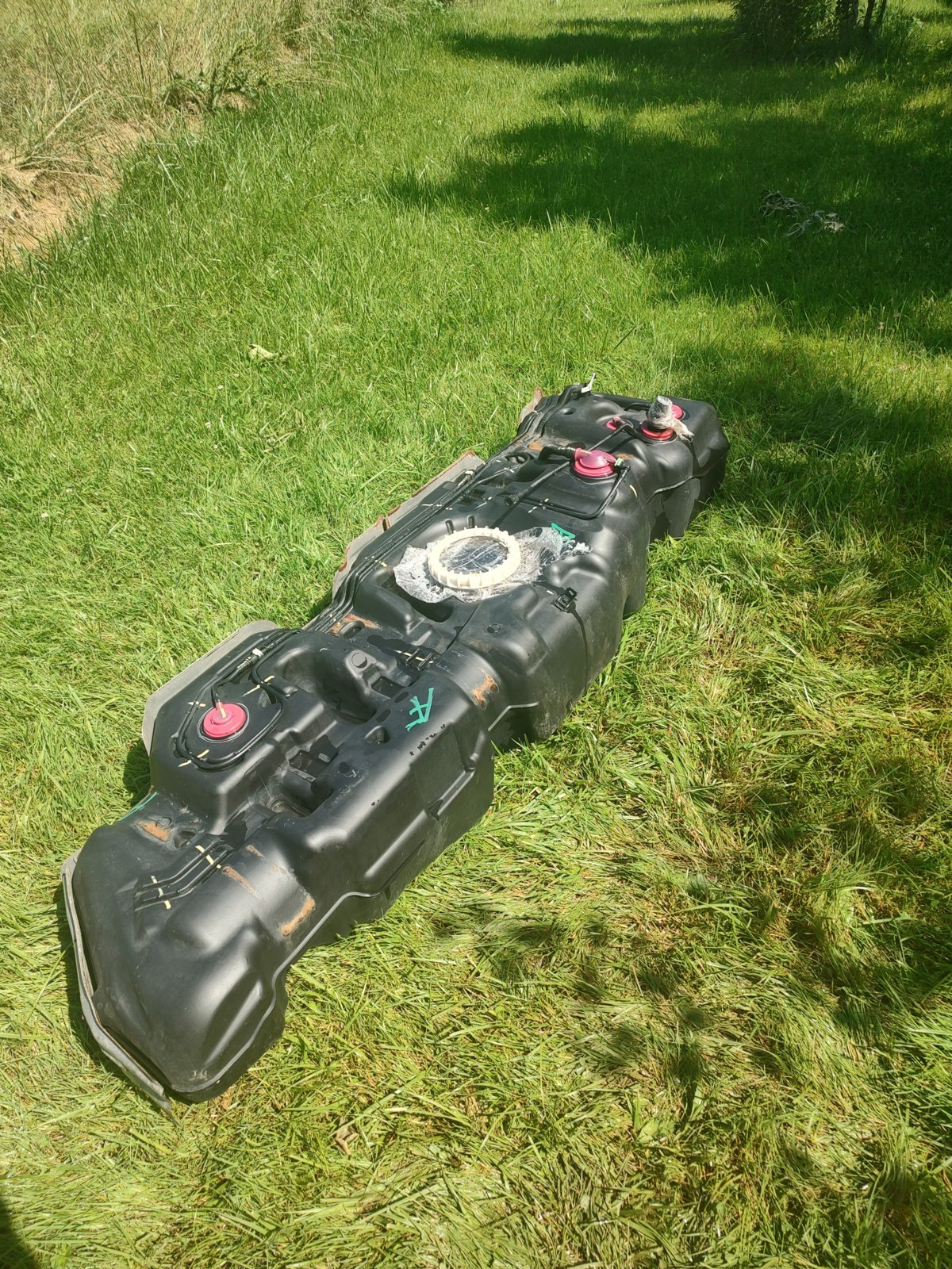IMG_20240614_104654240_HDR.jpg
