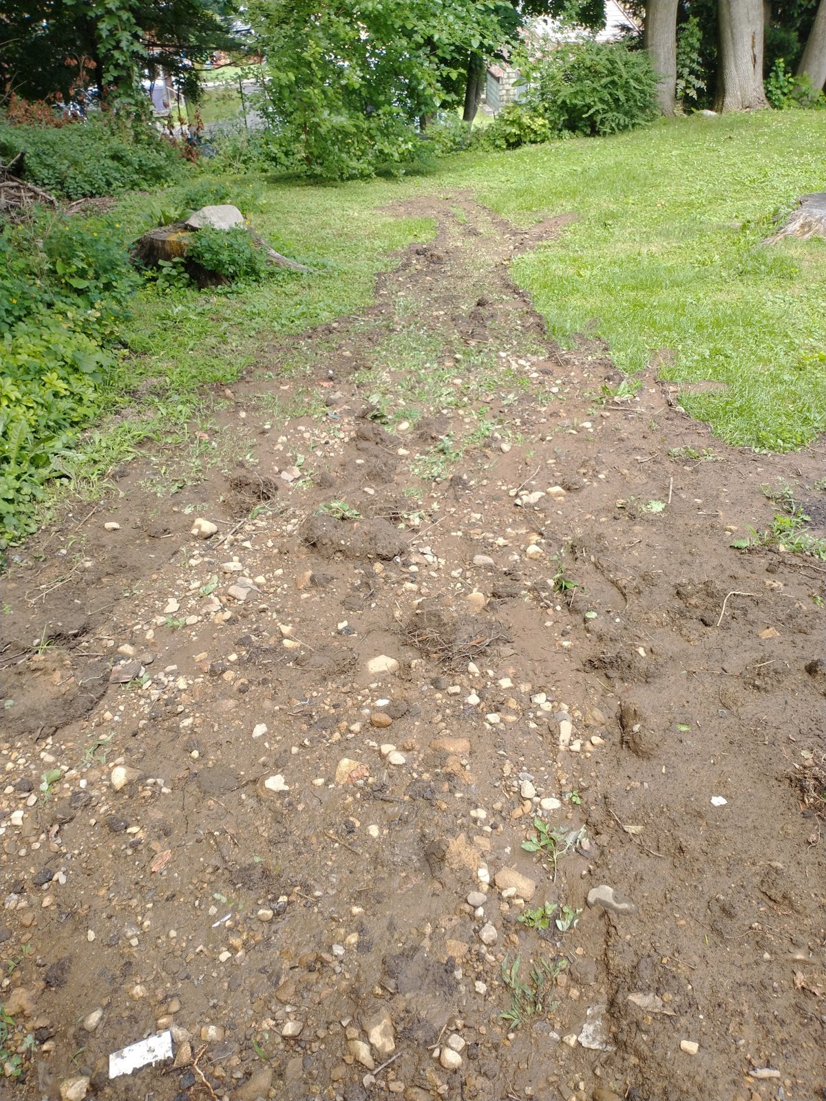 IMG_20240706_144347251.jpg