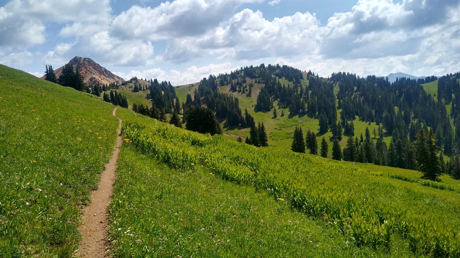 IMG_20240722_111752673_HDR.jpg