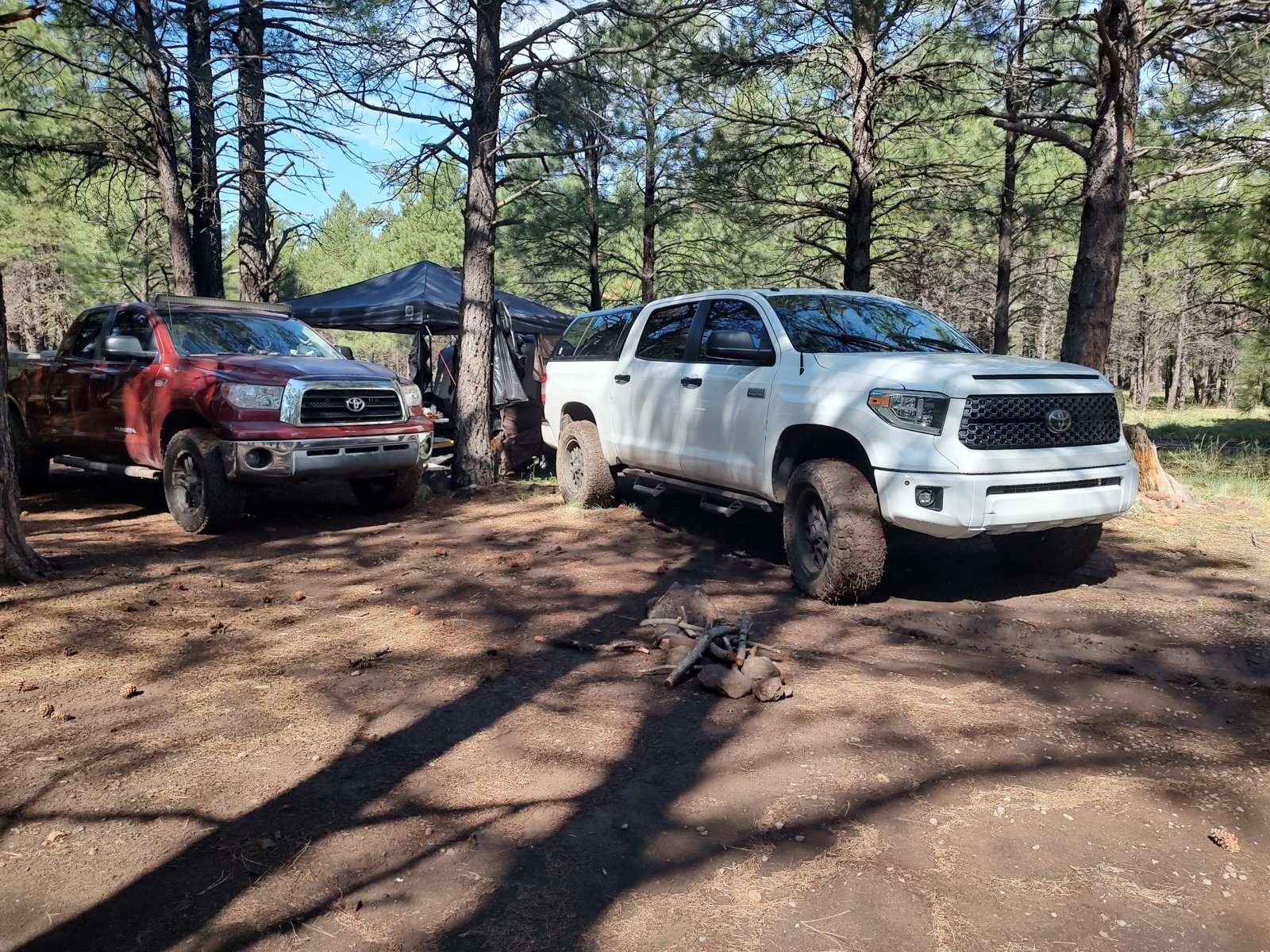 IMG_20240802_093230169_HDR.jpg