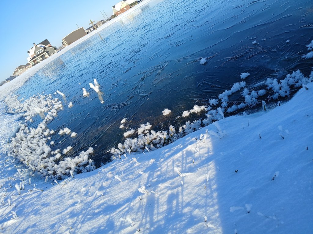IMG_20250122_085059.jpg