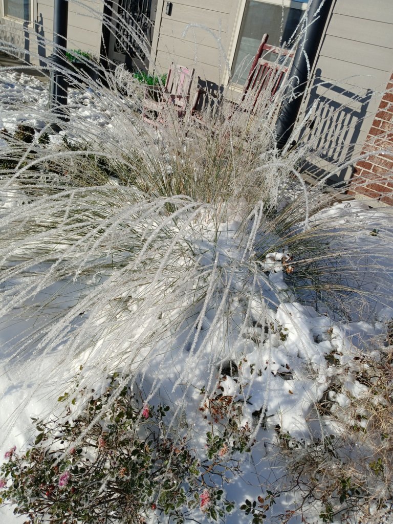 IMG_20250122_085112.jpg