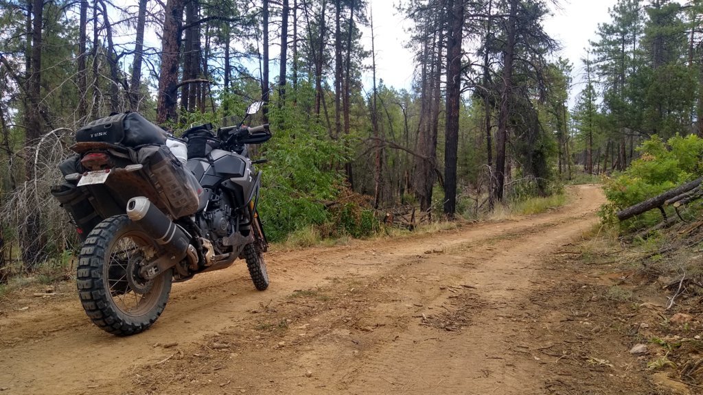 IMG_20250906_150457168_HDR.jpg