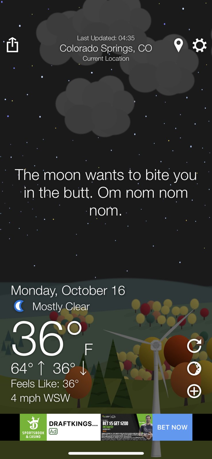 IMG_2639.png