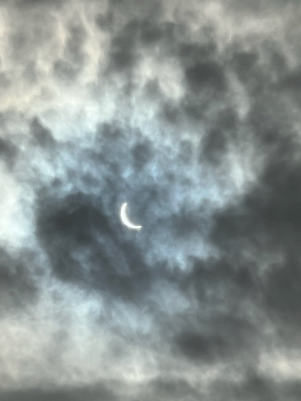 IMG_2664.jpg