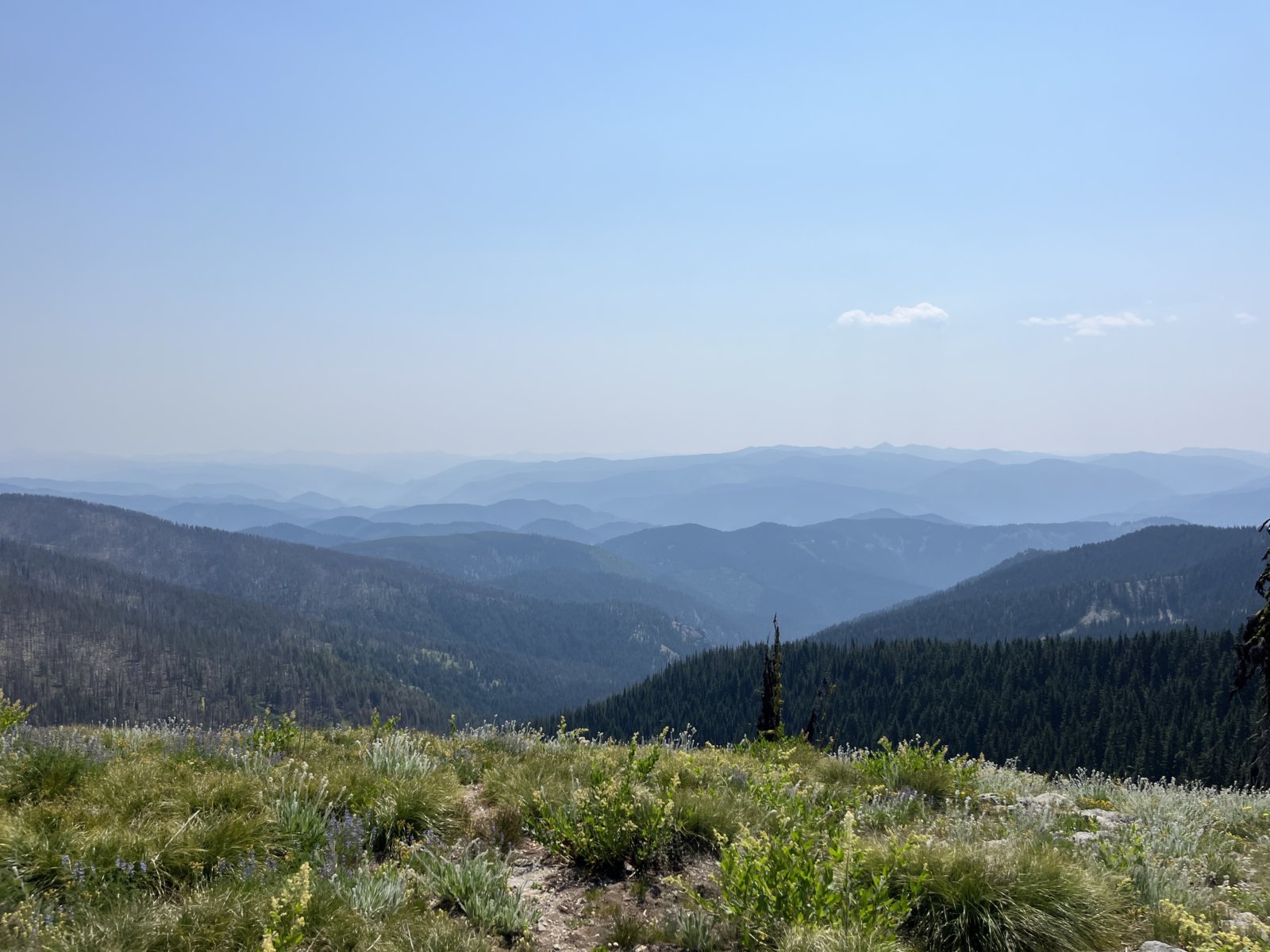 IMG_2814.jpg