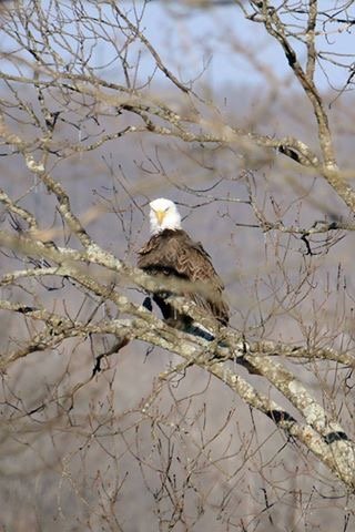 IMG_2920.jpg