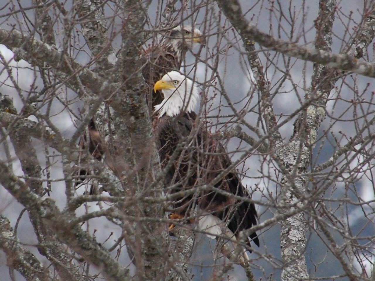 IMG_2924.jpg