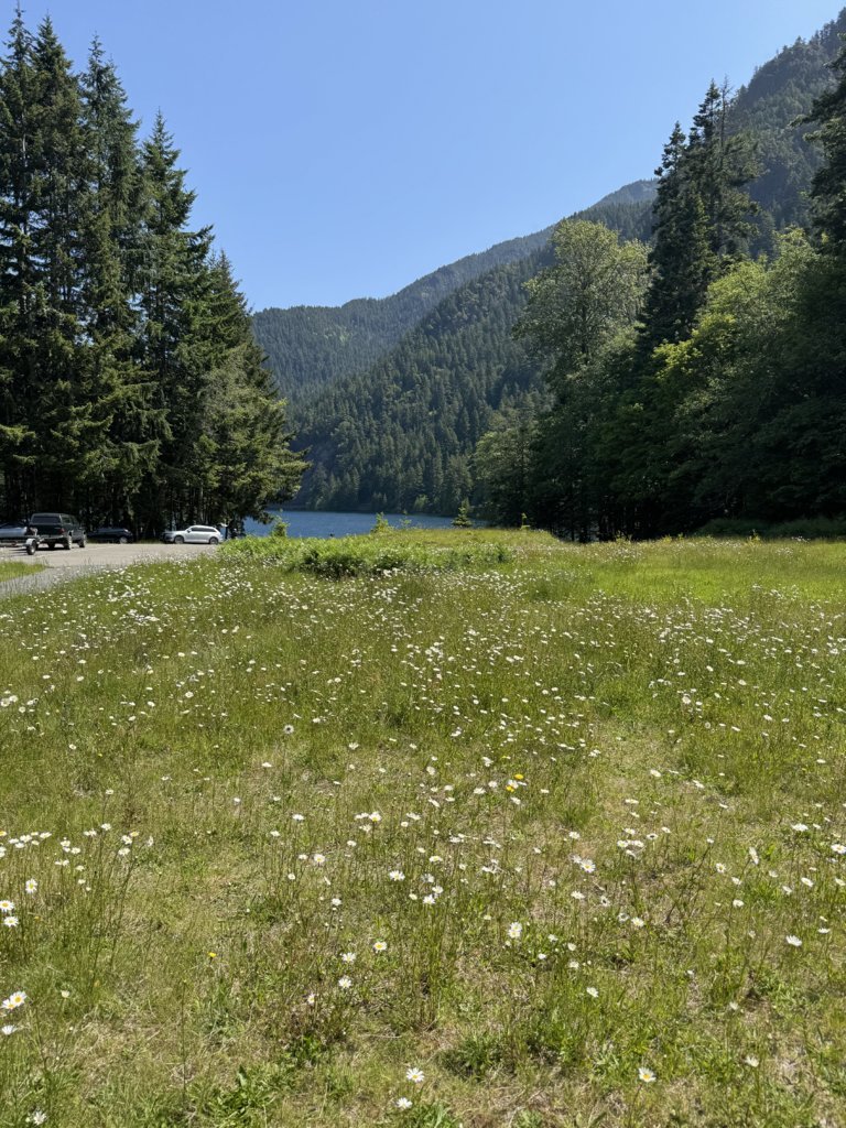 IMG_3175.jpg