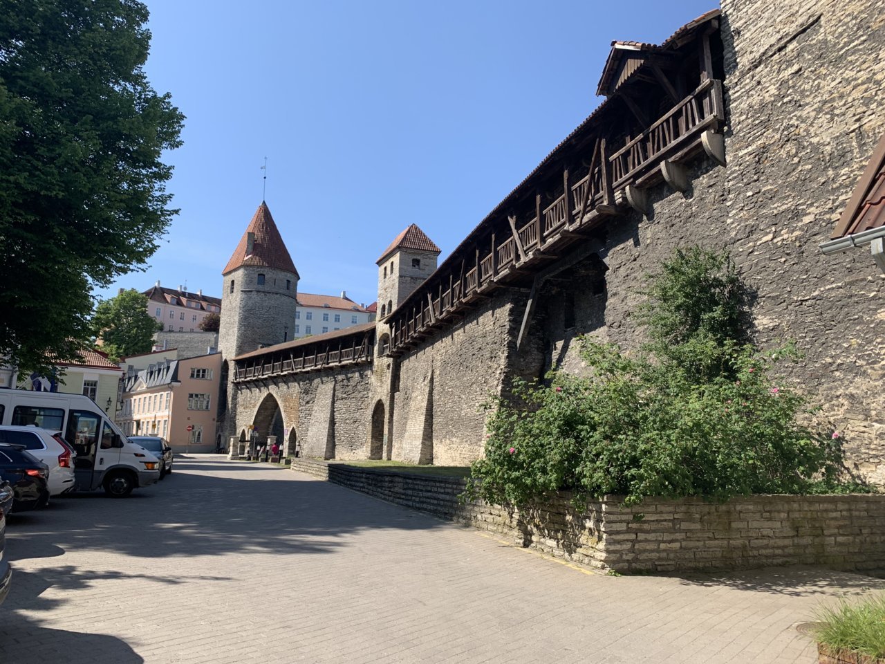 IMG_3376.jpg