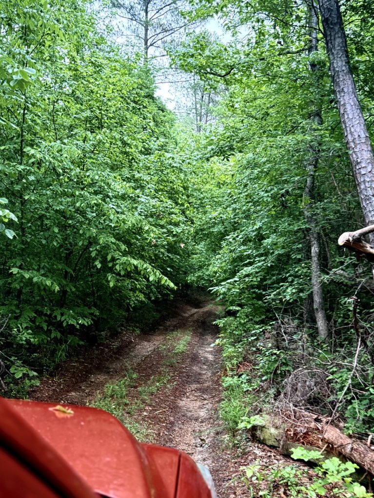 IMG_3605.jpg