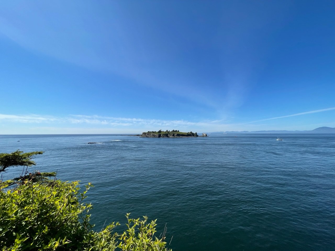 IMG_3900.jpg