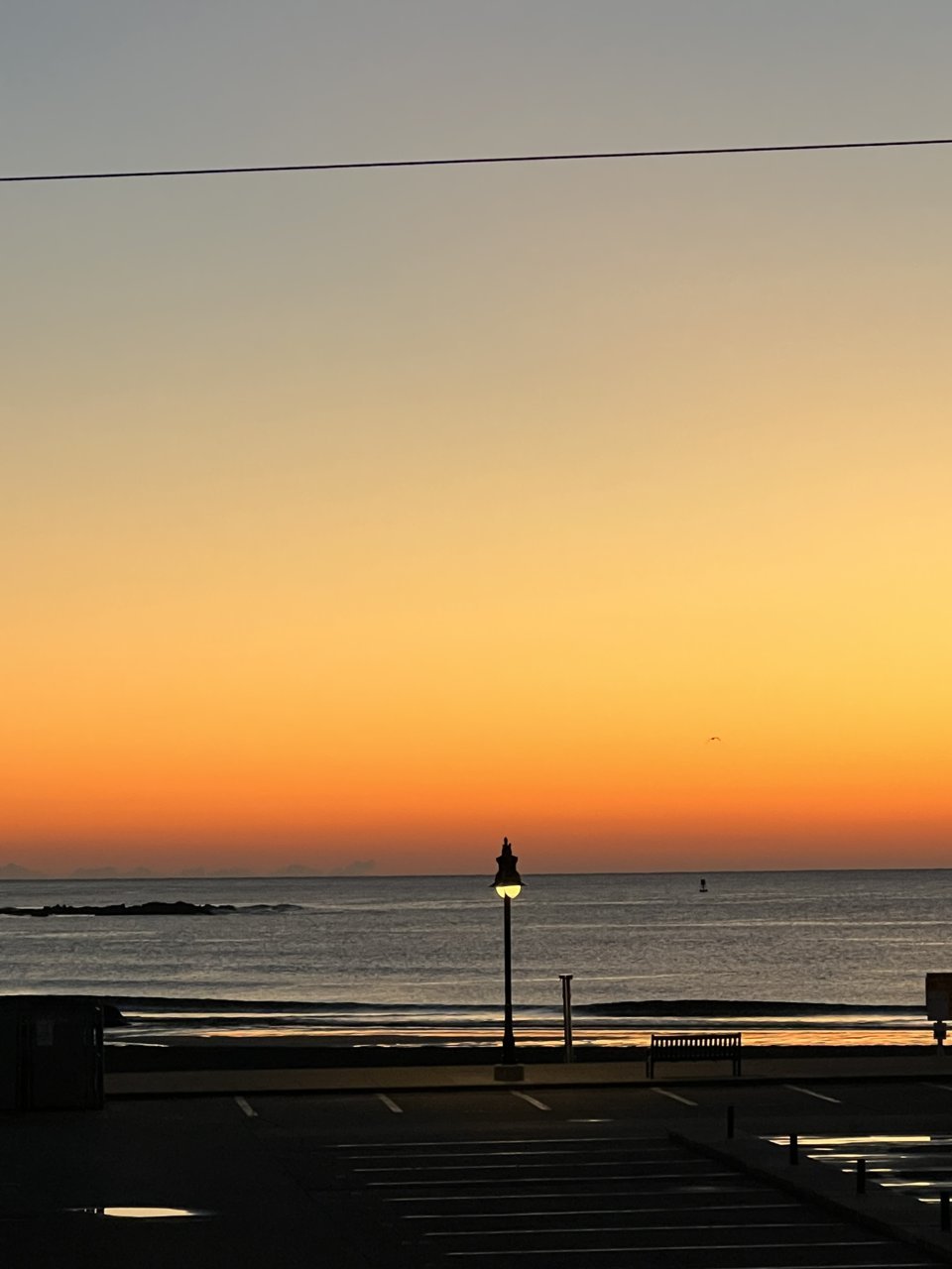 IMG_4568.jpg