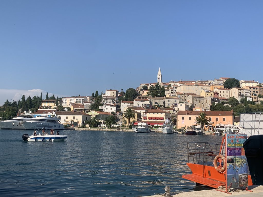 IMG_4787.jpg