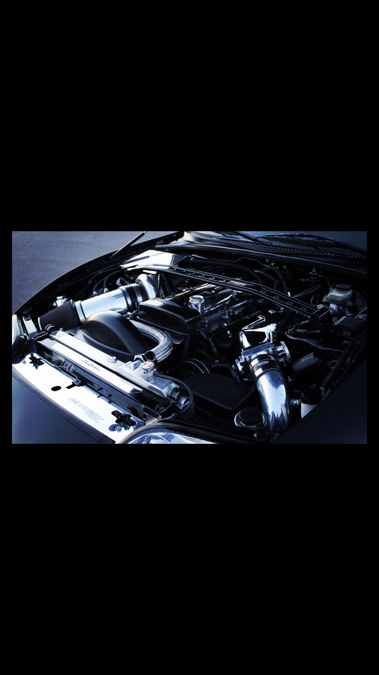 IMG_4984.png