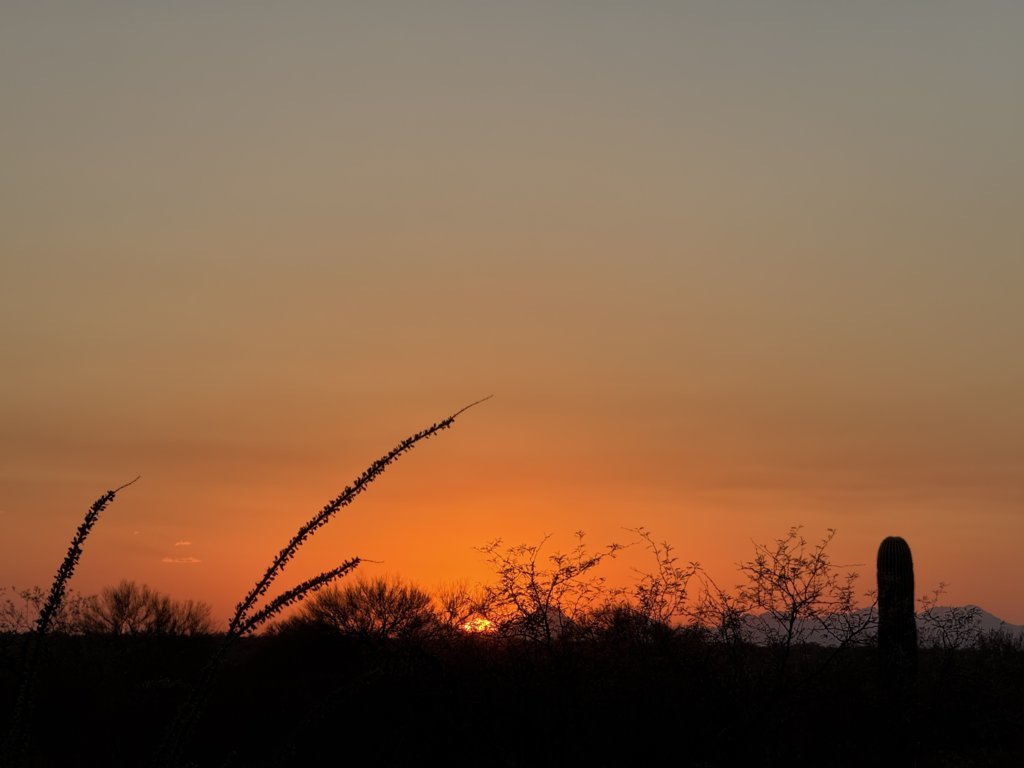 IMG_5185.jpg