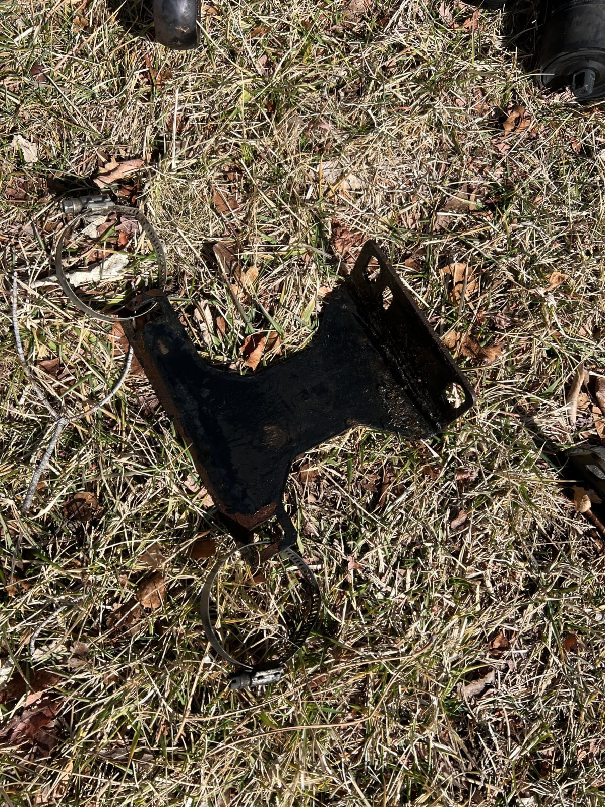 IMG_5660.jpg