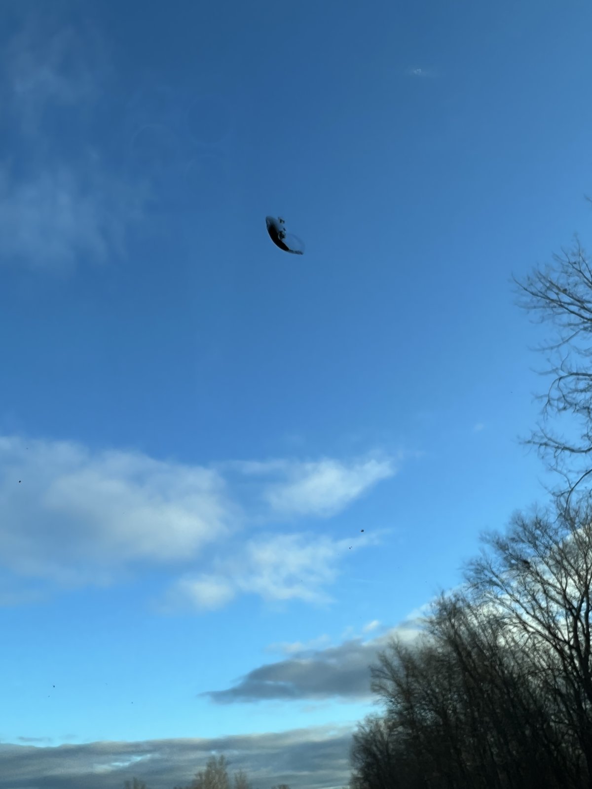 IMG_5738.jpg