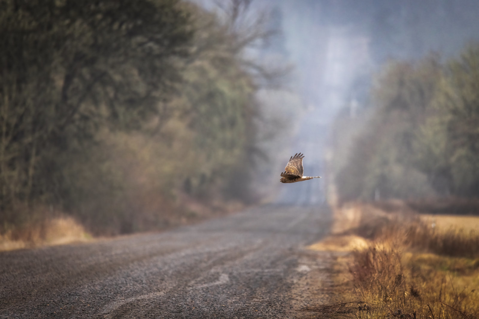 IMG_5826-Edit-Edit.jpg