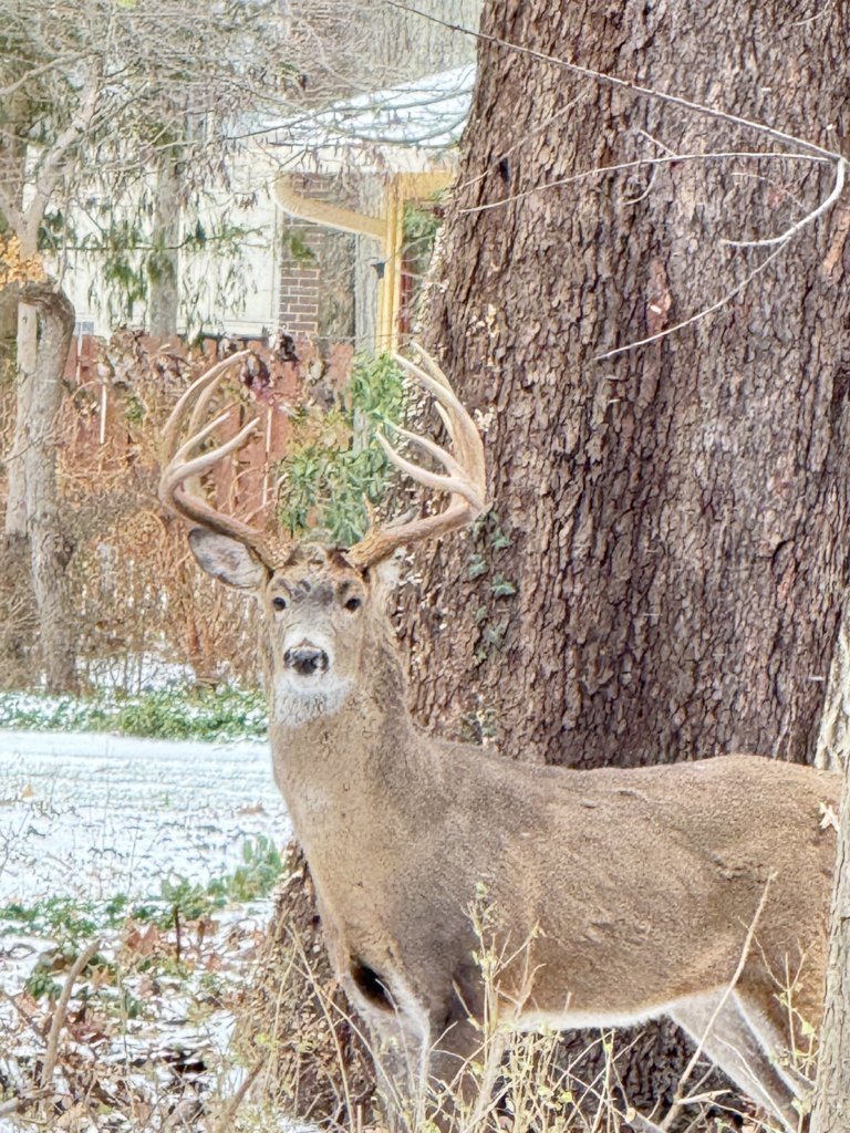 IMG_6179.jpg