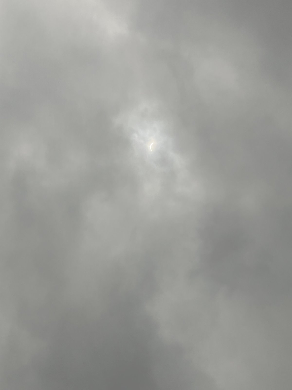 IMG_6741.jpg