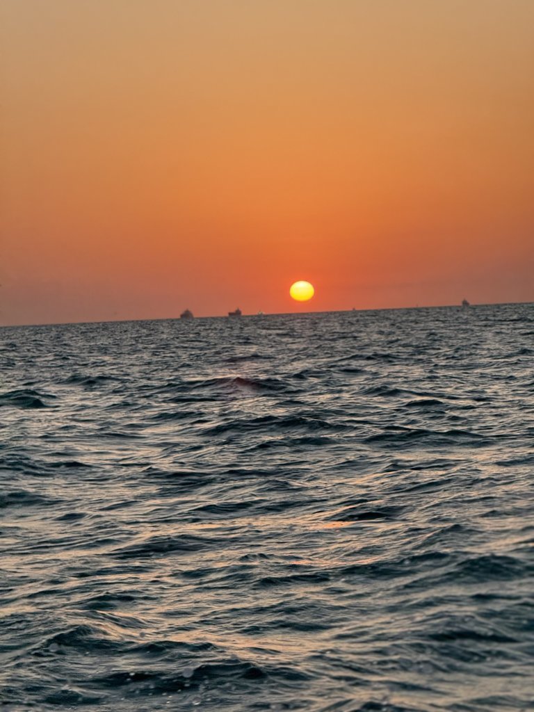 IMG_6851.jpg
