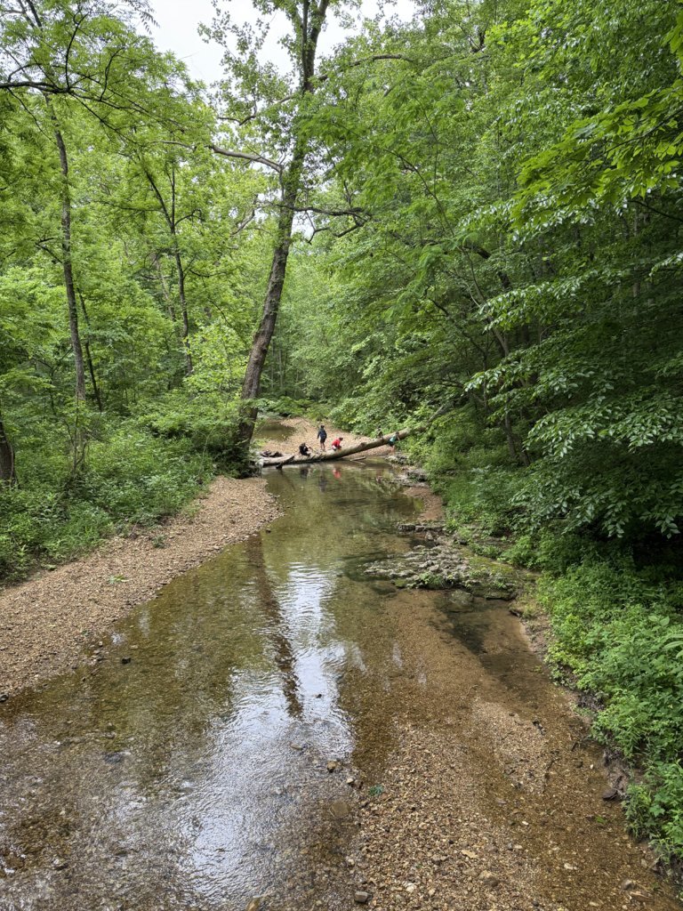 IMG_6874.jpg