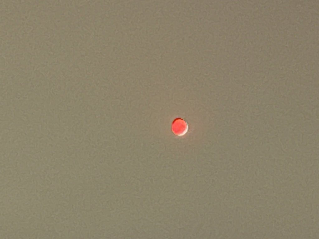 IMG_7115.jpg