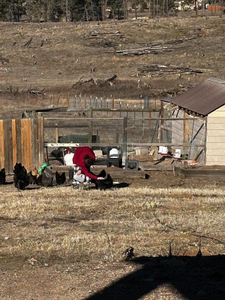 IMG_7214.jpg