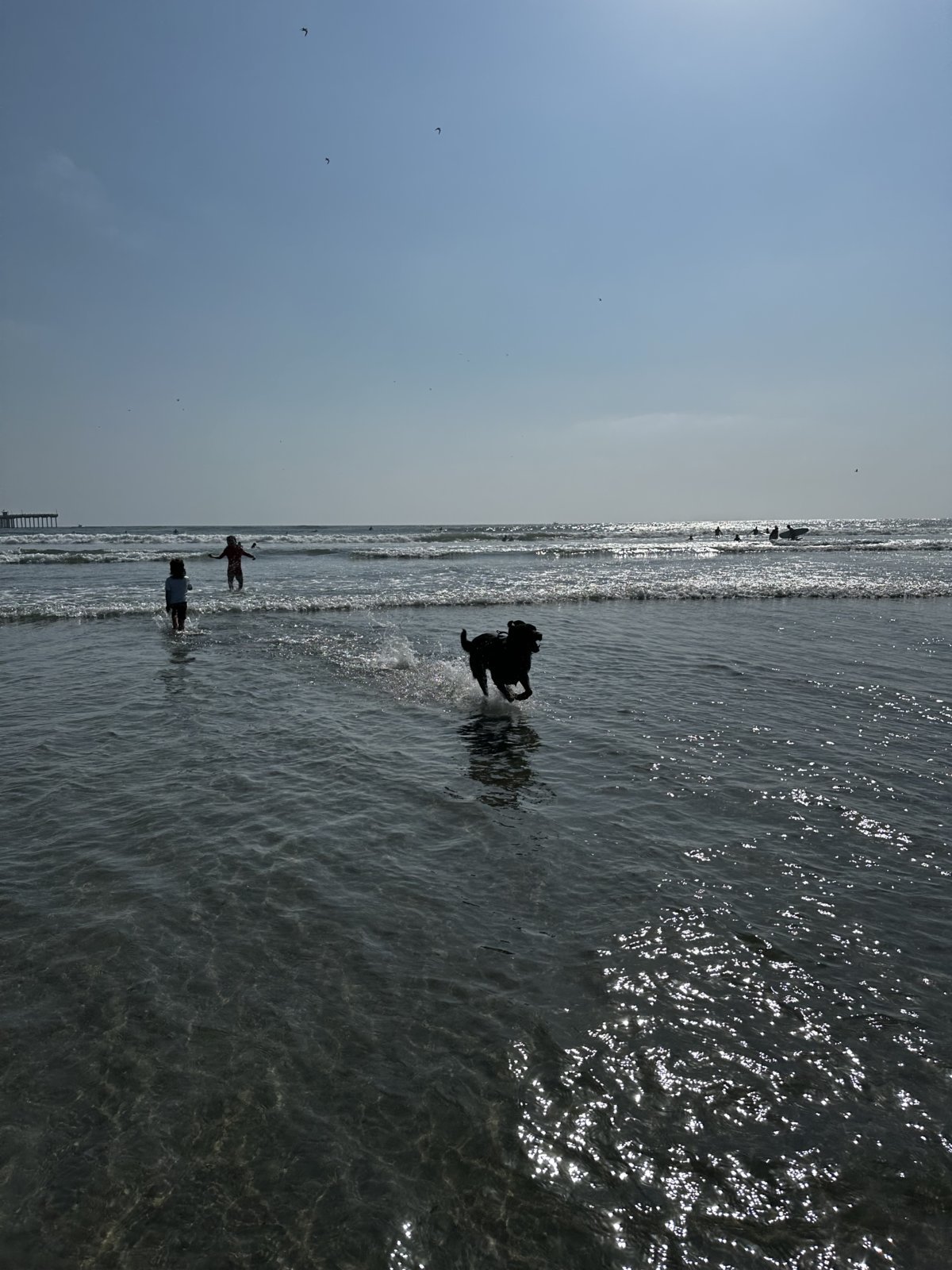 IMG_7284.jpg