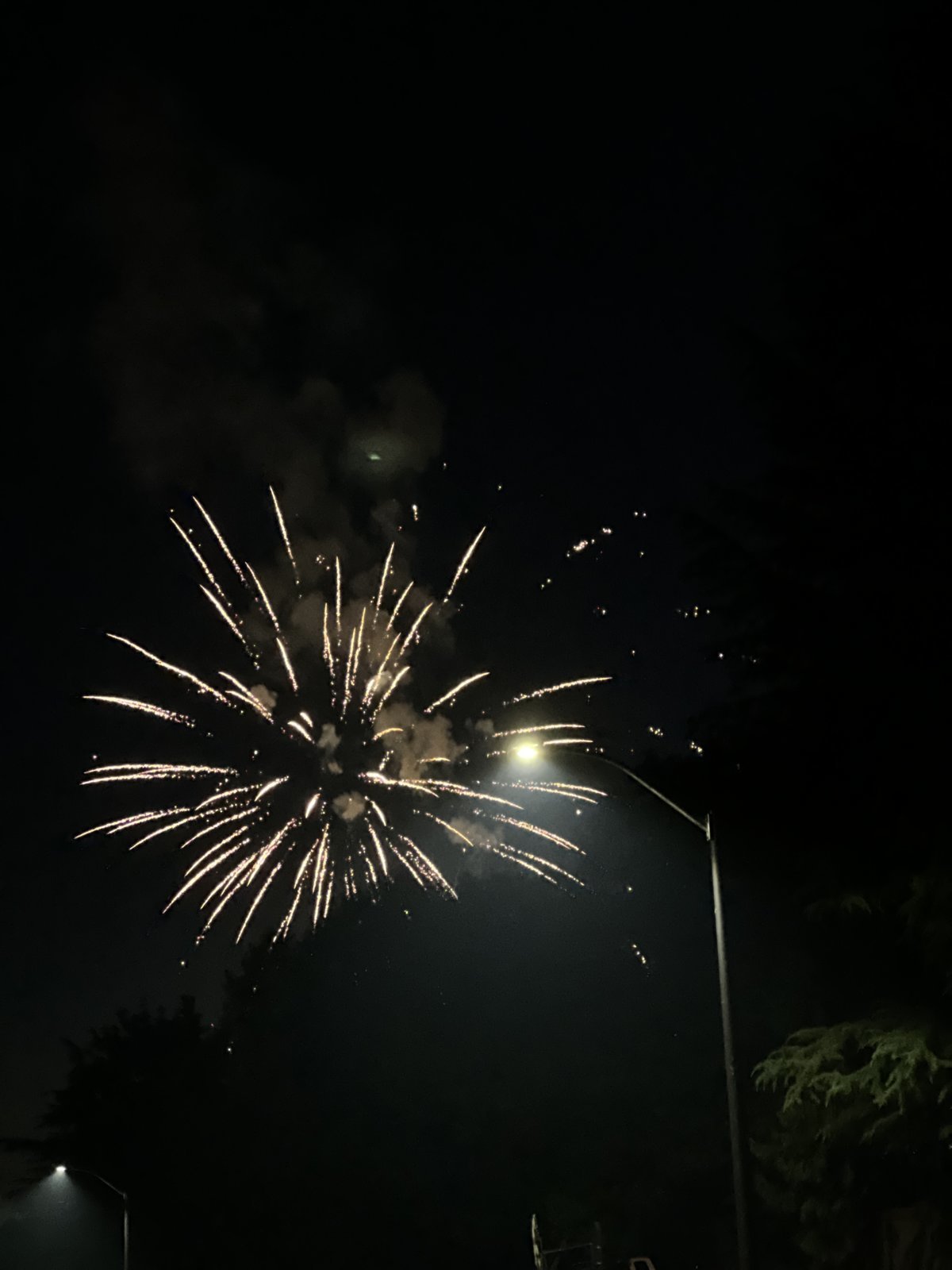 IMG_7437.jpg