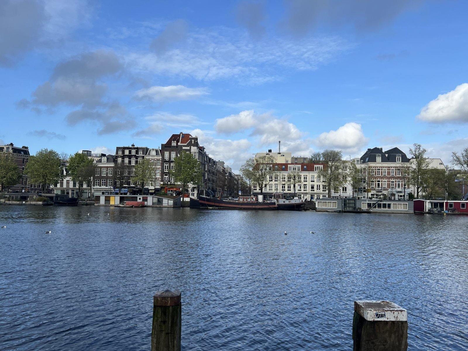 IMG_7598.jpg