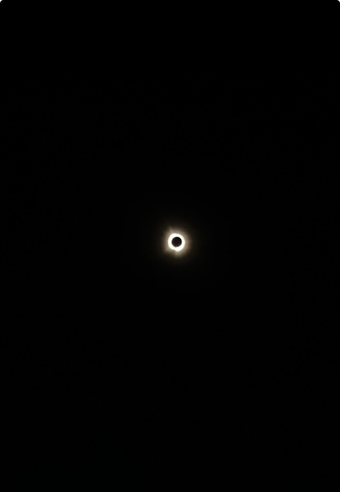 IMG_7655.jpg