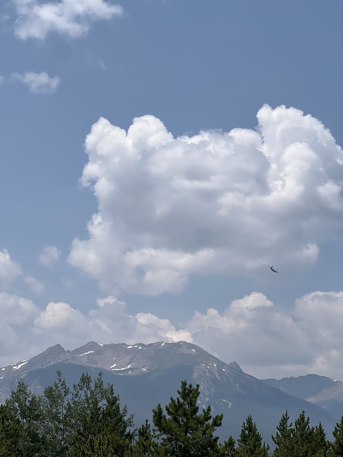 IMG_8469.jpg