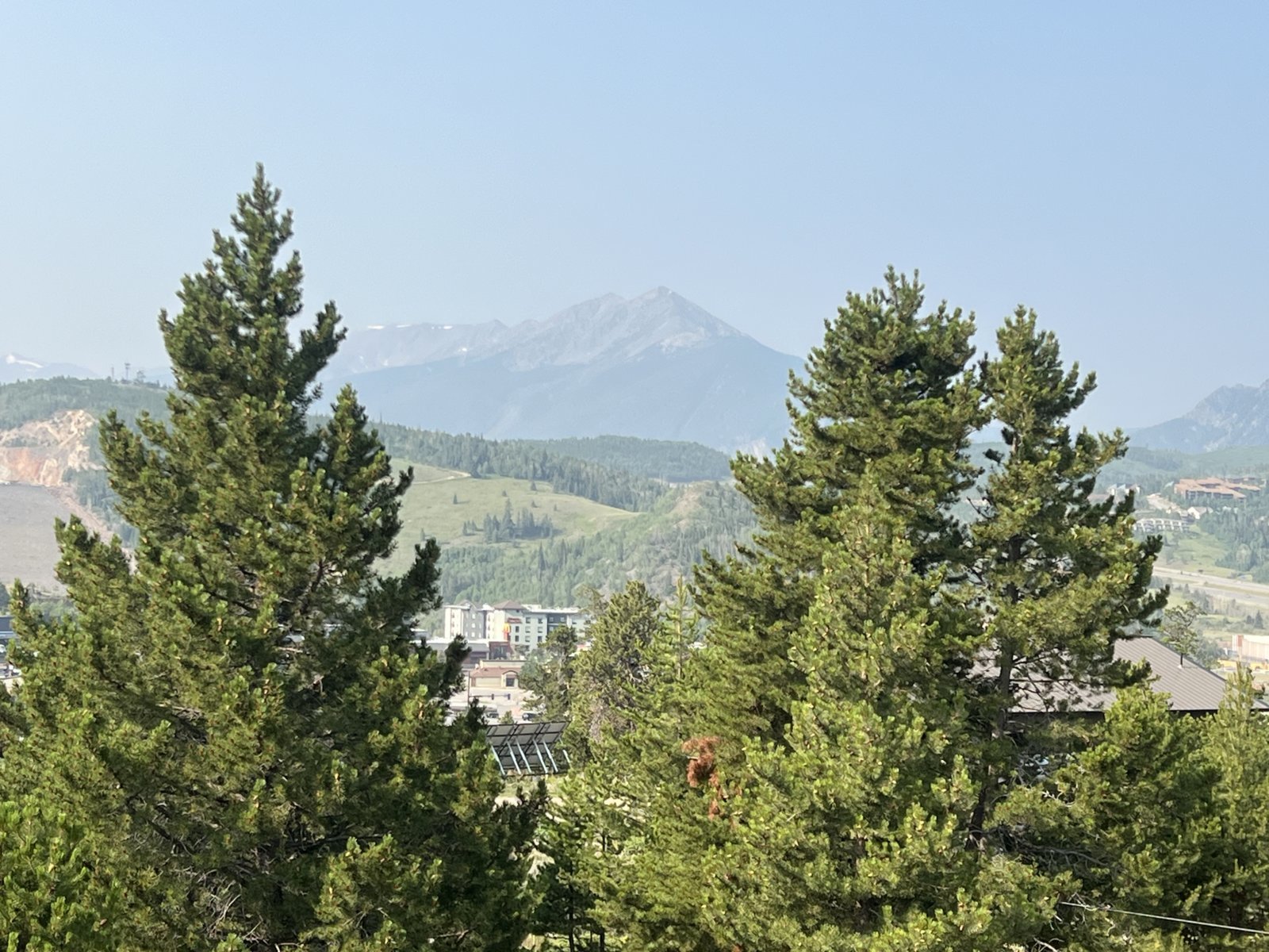 IMG_8481.jpg